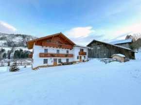 Apartments Frechhof Schladming
